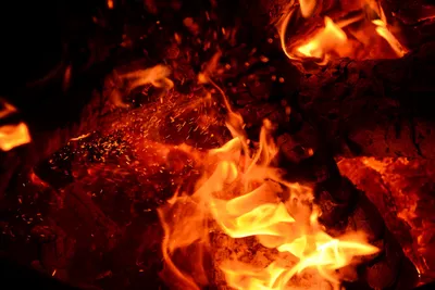 DSC_0112 (Large).JPG